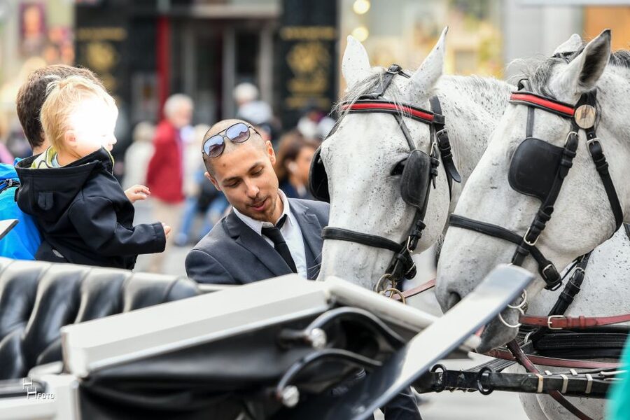 Vienna: 30-Minute Fiaker Ride in the Old Town - Parliament, Town Hall, and the Vienna Squares You’ll Recognize
