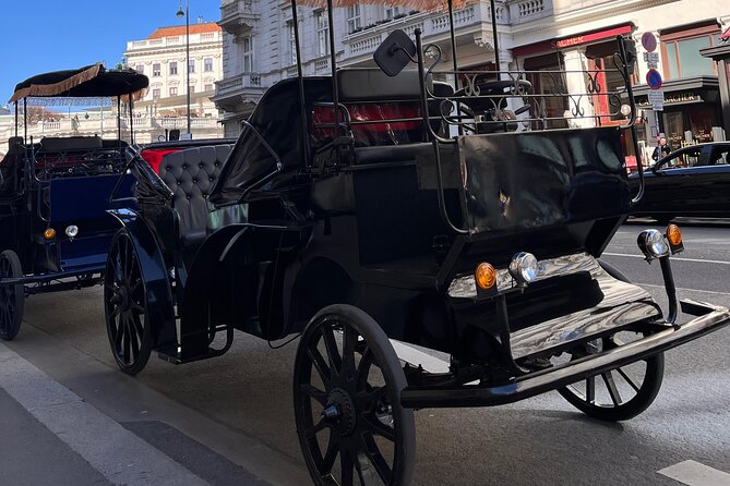 Vienna: 60 min. Royal E-Carriage Sightseeing Tour with Drinks - A 60-minute Royal e-car route that actually helps you plan the rest