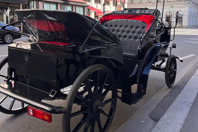 Vienna: 60 min. Royal E-Carriage Sightseeing Tour with Drinks - Opera to Albertina: the cultural backbone, in rapid-fire form