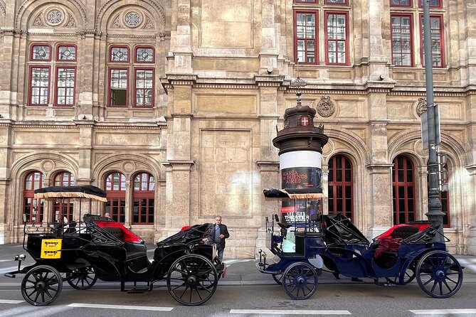 Vienna: 60 min. Royal E-Carriage Sightseeing Tour with Drinks - Schwarzenberg cafes, a Soviet Memorial detour, and Schwarzenbergplatz