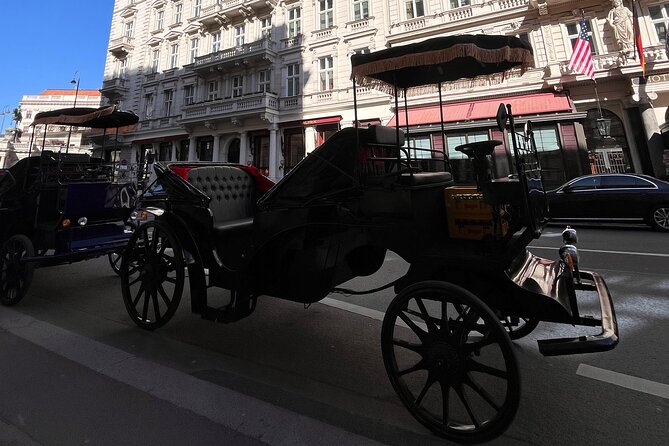 Vienna: 60 min. Royal E-Carriage Sightseeing Tour with Drinks - Karlskirche: a strong finale and a quick closing circle