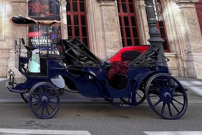 Vienna: 60 min. Royal E-Carriage Sightseeing Tour with Drinks - Drinks included, but plan your meal like a grown-up