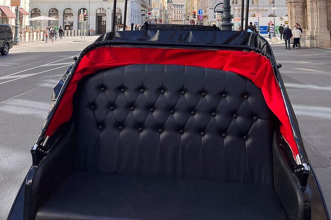 Vienna: 60 min. Royal E-Carriage Sightseeing Tour with Drinks - Price and value: $300.98 per group can be a steal or a splurge