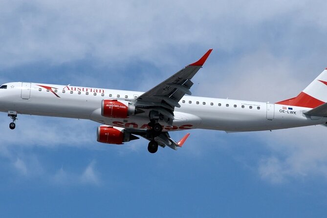 Vienna Airport Transfer from Vienna City with Private Driver - The Meet and Greet Experience: Where You Actually Gain Time
