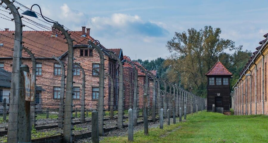 Vienna: Auschwitz Birkenau Full-Day Tour w/ Hotel Transfers - Hotel transfers and the value of door-to-door logistics