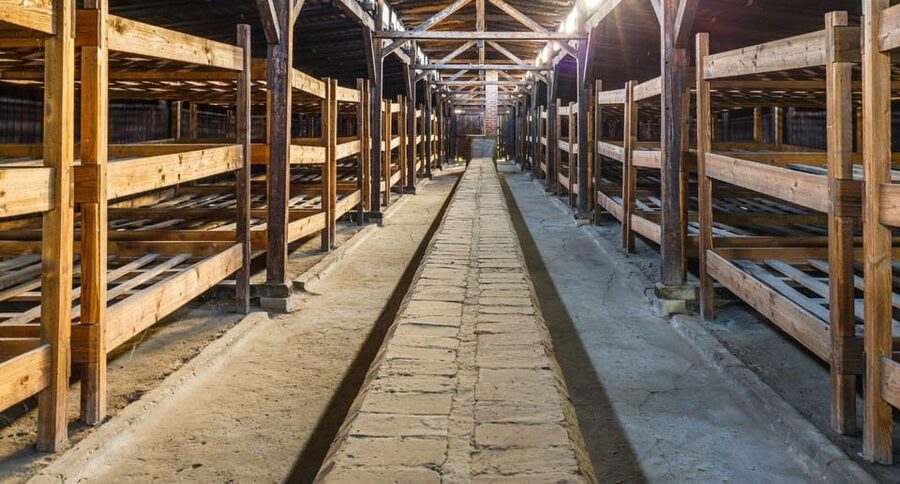 Vienna: Auschwitz Birkenau Full-Day Tour w/ Hotel Transfers - What is included, and what you should plan for