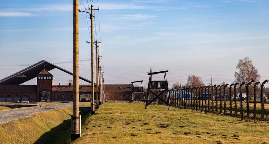 Vienna: Auschwitz Birkenau Full-Day Tour w/ Hotel Transfers - Price and logistics: does $666 feel justified?