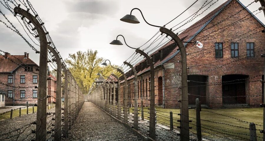Vienna: Auschwitz Birkenau Full-Day Tour w/ Hotel Transfers - Who this tour fits best (and who might want a different format)