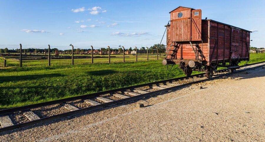 Vienna: Auschwitz Birkenau Full-Day Tour w/ Hotel Transfers - Skip-the-line entry, tickets, and what that actually buys you