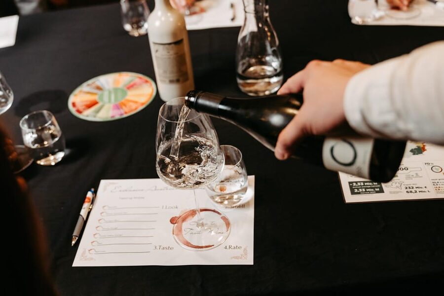 Vienna: Austrian Wine Tasting Evening - Price and value: $176 for seven wines, pairing, and real instruction