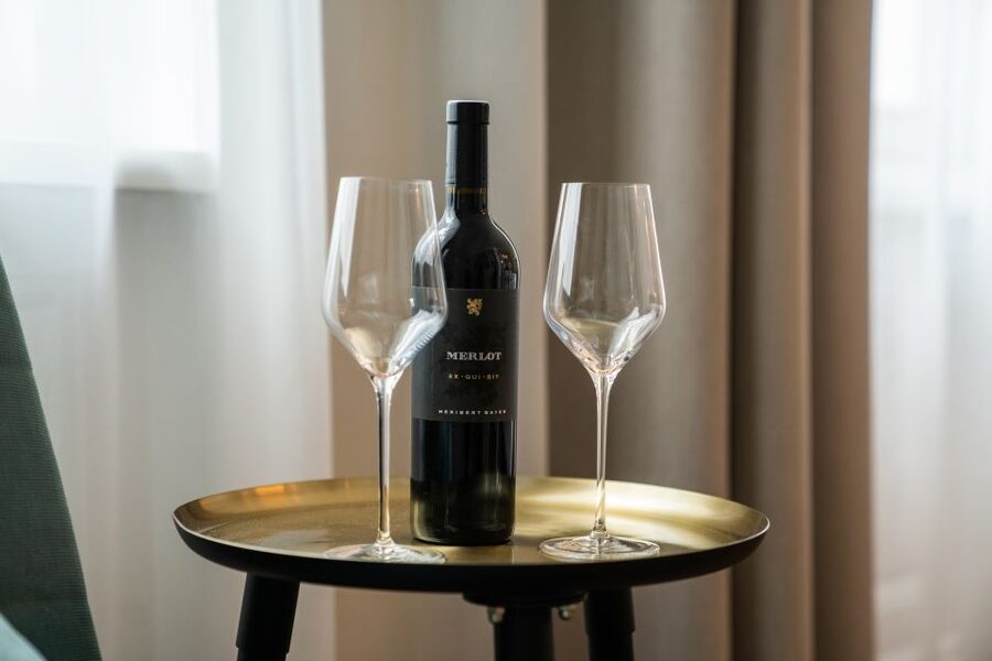 Vienna: Austrian Wine Tasting Experience - When This Experience Fits Your Travel Style