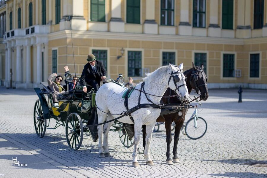 Vienna: Carriage Ride Through Schönbrunn Palace Gardens - Key things I think you will care about