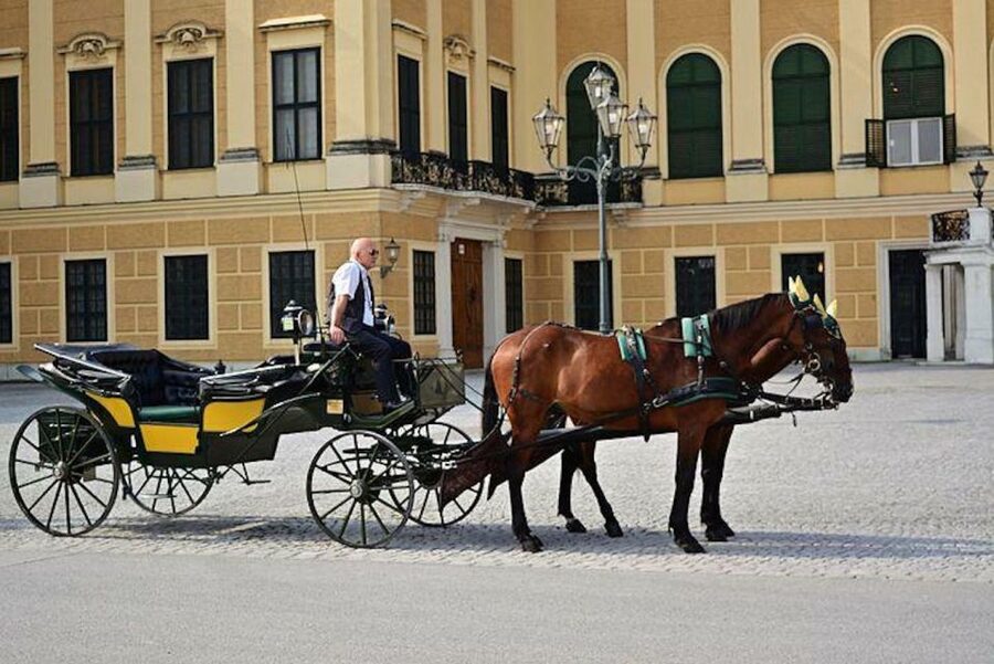 Vienna: Carriage Ride Through Schönbrunn Palace Gardens - Neptune Fountain, Obelisk, and Gloriette views along the route