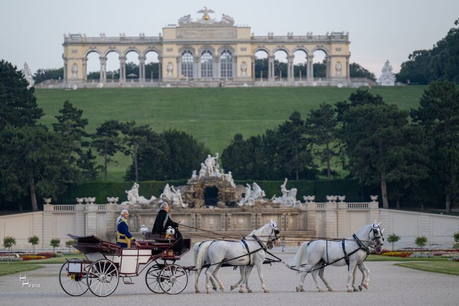 Vienna: Carriage Ride Through Schönbrunn Palace Gardens - Private group value: why the $108 price can make sense
