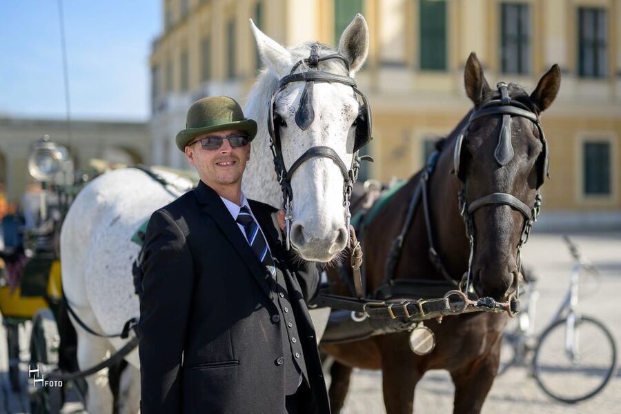 Vienna: Carriage Ride Through Schönbrunn Palace Gardens - Fit it into your Vienna day: smart planning tips
