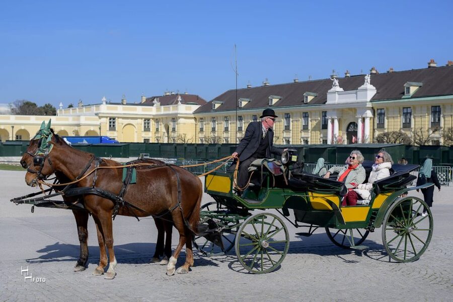 Vienna: Carriage Ride Through Schönbrunn Palace Gardens - Should you book this Schönbrunn carriage ride?