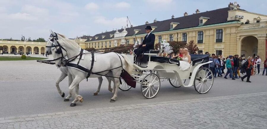 Vienna: Carriage Ride Through Schönbrunn Palace Gardens - The 30-minute horse-drawn ride: what you will actually see
