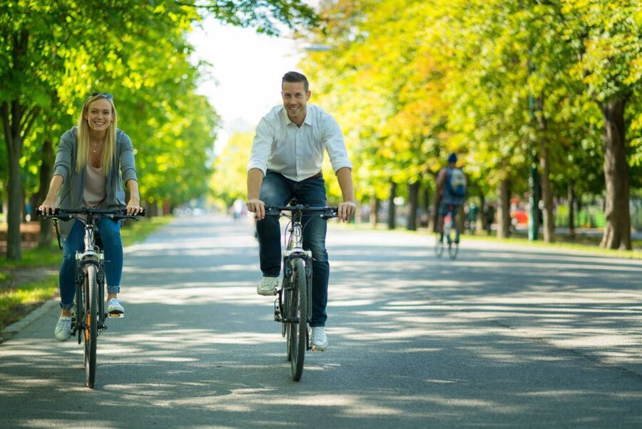 Vienna: City Highlights Guided Bike Tour - Kunsthistorisches Museum and Vienna State Opera: culture on a grand stage