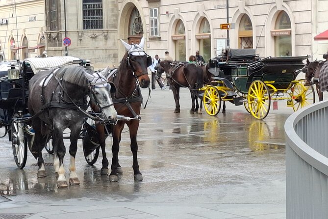 Vienna City Walk 3h - Unpacked & Hidden Places (DE/EN) - Heldenplatz, Kunsthistorisches Museum, and emperor treasure at Schatzkammer