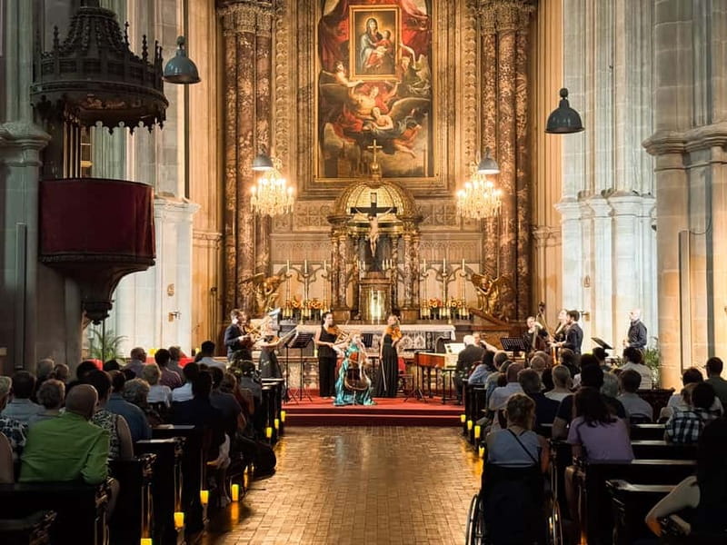 Vienna: Classical Concerts in the Minorite Church Ticket - Who should book this concert in Vienna?