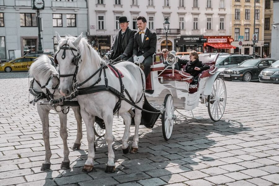 Vienna: Culinary Horse-Drawn Carriage Experience - Timing, Weather, and When the Ride Feels Shorter