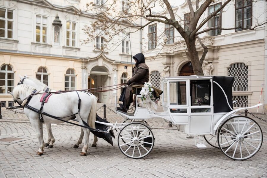 Vienna: Culinary Horse-Drawn Carriage Experience - Who This Vienna Horse-Drawn Culinary Ride Fits Best