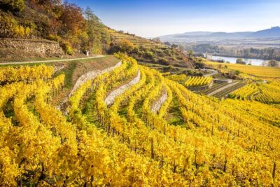 Danube Valley Tour with Melk, Dürnstein with wine tasting and boat.
