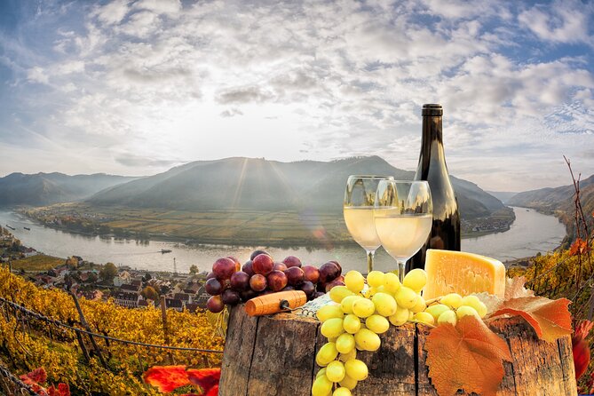 Vienna: Danube Valley Tour with Melk, Dürnstein with wine tasting and boat. - Wachau wine tasting: learn what you are drinking