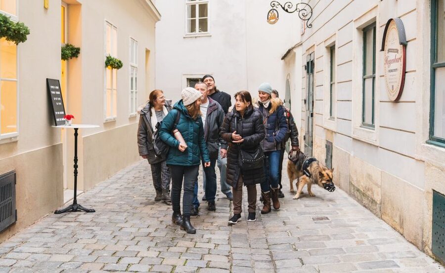 Vienna: Educational Walk Exploring Homelessness - Price and value: why 29 euros-ish feels fair here
