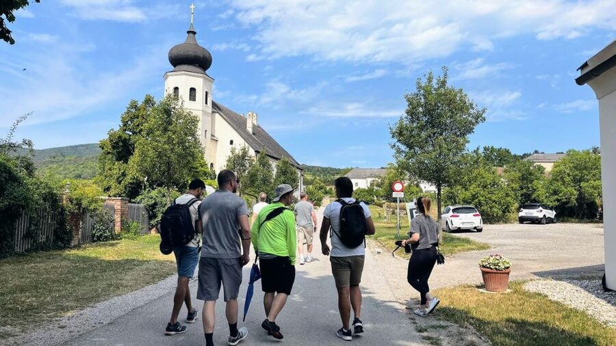 Vienna: Full-Day Vienna Woods Wine Tasting Tour - Key moments worth packing for