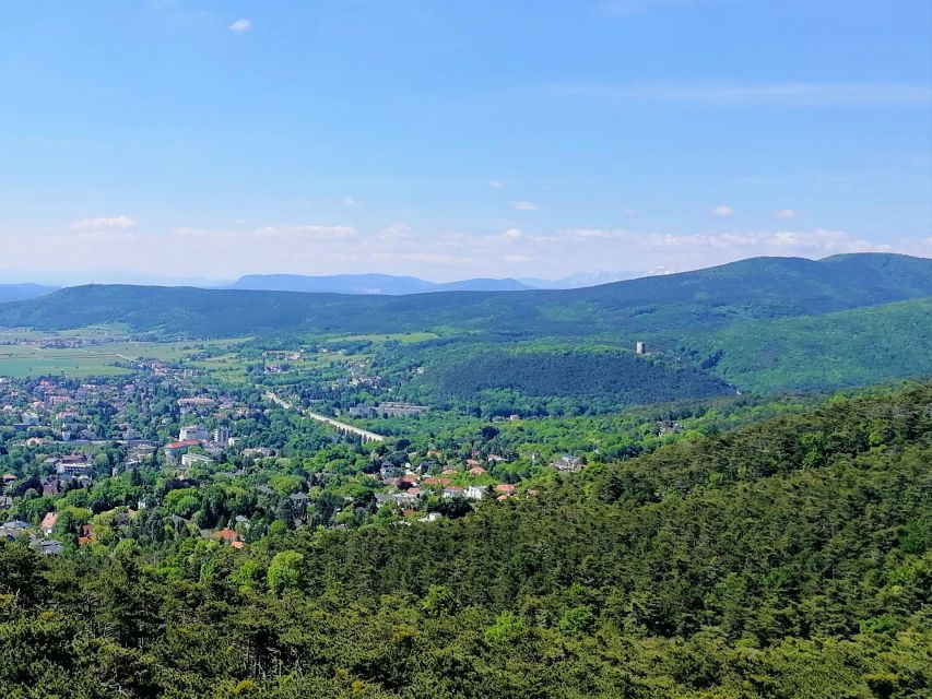 Vienna: Full-Day Vienna Woods Wine Tasting Tour - Price and value: why $187 can be more than a tasting ticket