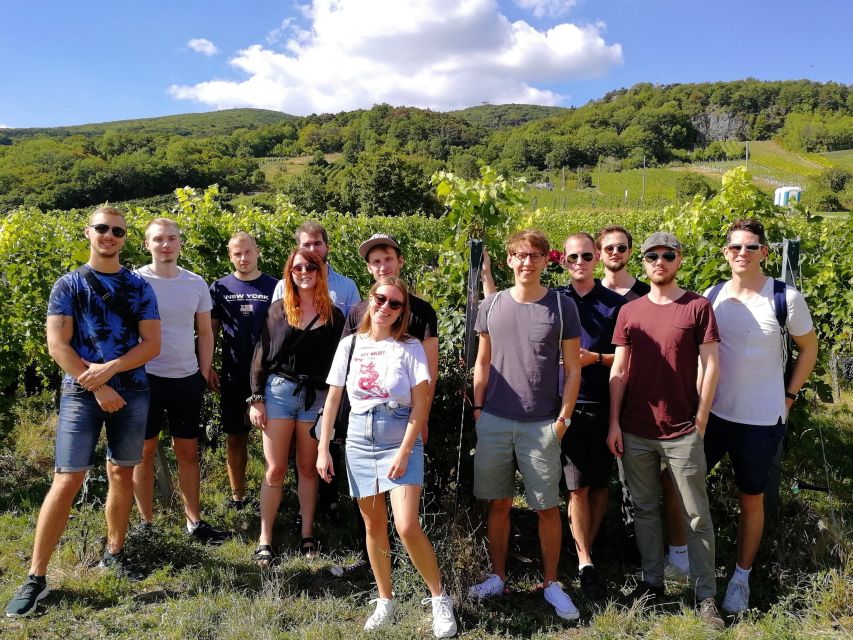 Vienna: Full-Day Vienna Woods Wine Tasting Tour - Who this tour suits best, and who should skip it