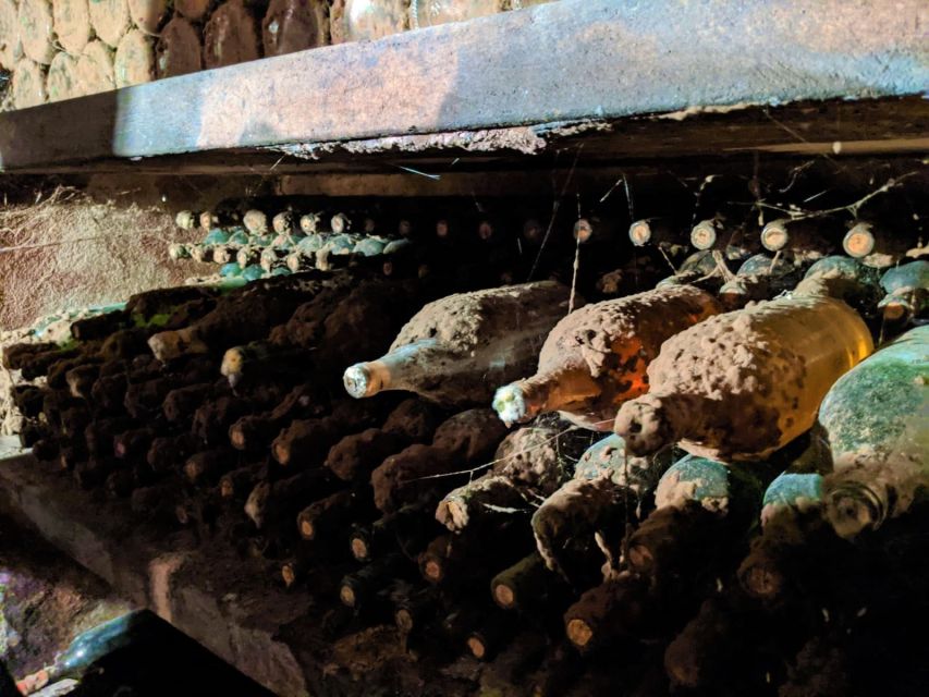 Vienna: Full-Day Vienna Woods Wine Tasting Tour - What to bring, what to wear, and how to enjoy the day
