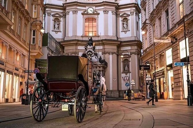 Vienna Guided City Tour in English - Pestsaule, Peterskirche, and the Streets Around Graben