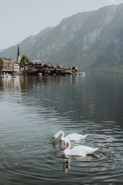 Vienna: Hallstatt Guided Tour with Hotel Pickup & Drop-off - Money, tickets, and what the tour actually covers