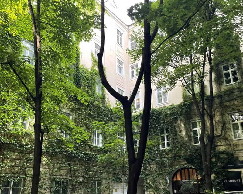 Vienna: Hidden courtyards Guided walking tour - Meeting point tips so you do not waste time