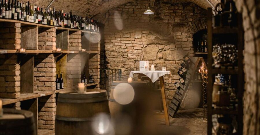 Vienna: Hidden Wine Cellars Tasting Experience - Key highlights at a glance