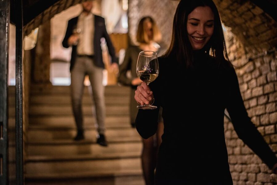 Vienna: Hidden Wine Cellars Tasting Experience - Vienna’s wine cellars under Stephansplatz: the big idea
