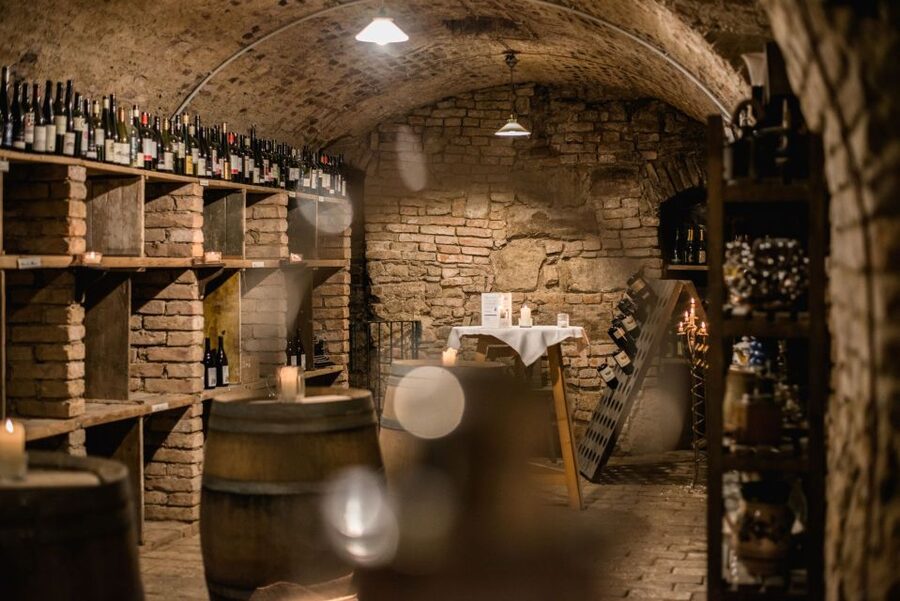 Vienna: Hidden Wine Cellars Tasting Experience - Cellar stops 1 to 3: what makes each tasting feel different