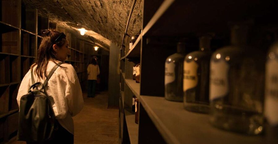 Vienna: Historical Pharmacy Cellar Guided Tour - Vienna’s underground pharmacy world: what you’re really paying for