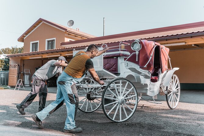 Vienna Horse-drawn Carriage Guided Tour - Price and logistics: what you are paying for
