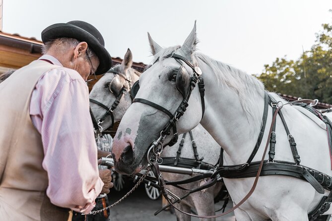 Vienna Horse-drawn Carriage Guided Tour - Photos, kids, and comfort on a 90-minute morning ride