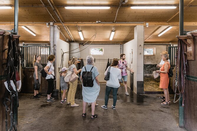 Vienna Horse-drawn Carriage Guided Tour - From the stables into Vienna’s 11th district