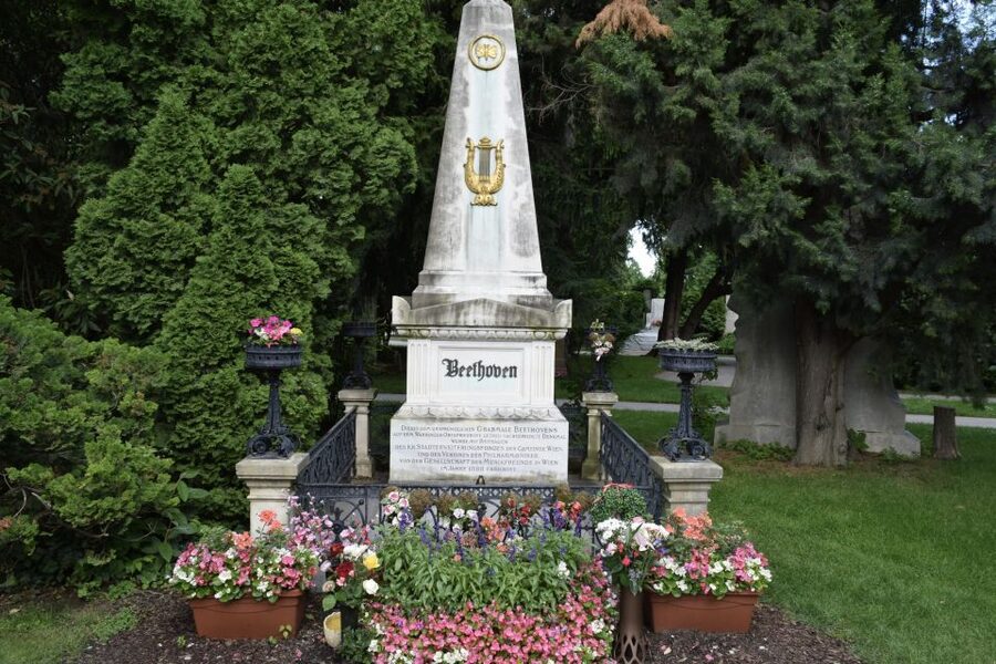Vienna_ Meet Beethoven Life Private Guided Walking Tour - Key things I’d plan for
