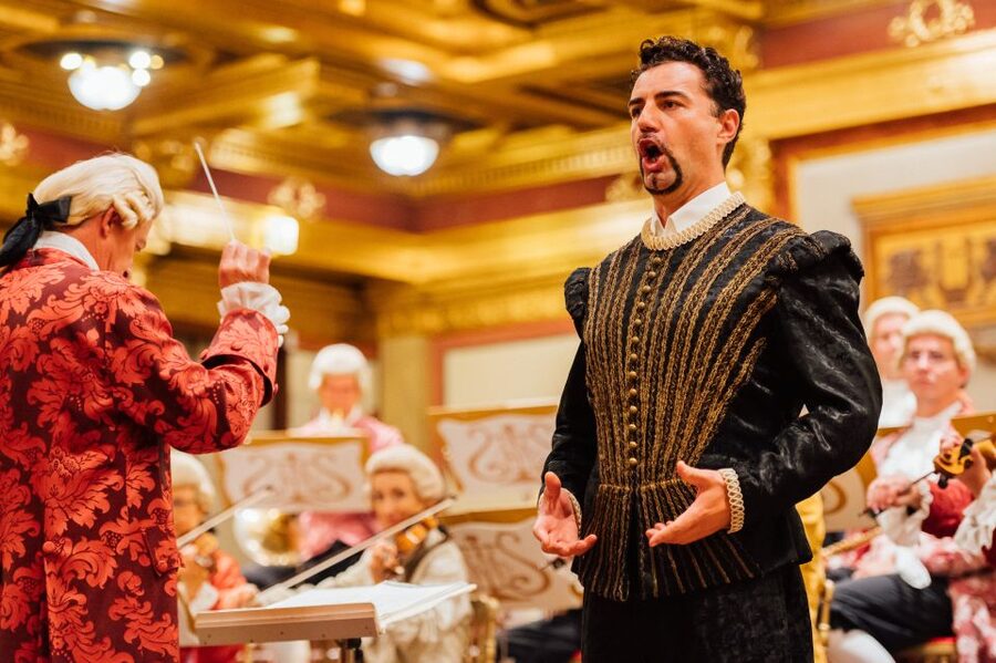Vienna: Mozart Concert in the Brahms-Saal - Who Should Book This Concert, and Who Might Skip It