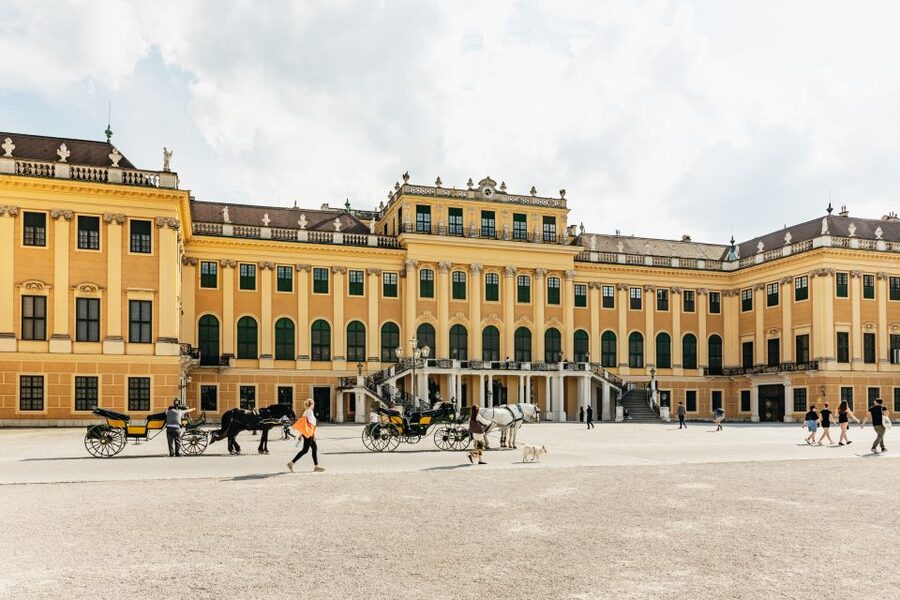 Vienna: Panorama Train Tickets to explore Schönbrunn Palace - Comfort, accessibility, and why this ride is a real mobility win