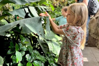 Vienna Private Family Tour: City Highlights, Museum and Cake