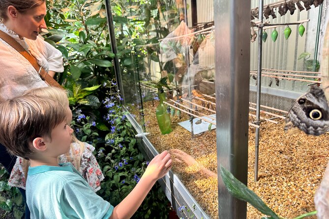 Vienna Private Family Tour: City Highlights, Museum and Cake - Palm House Garden and Sacher chocolate cake, where the tour turns playful