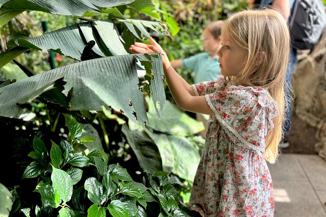 Vienna Private Family Tour: City Highlights, Museum and Cake - Spanish Riding School in a short window, Lipizzaner lore included