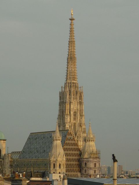 Vienna: Private Guided Walking Tour - Meeting at Stephansplatz, and getting your bearings fast